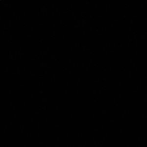 Meet your Posher, Celeste